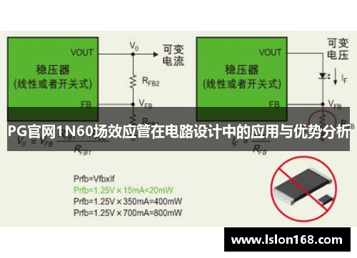 PG官网1N60场效应管在电路设计中的应用与优势分析